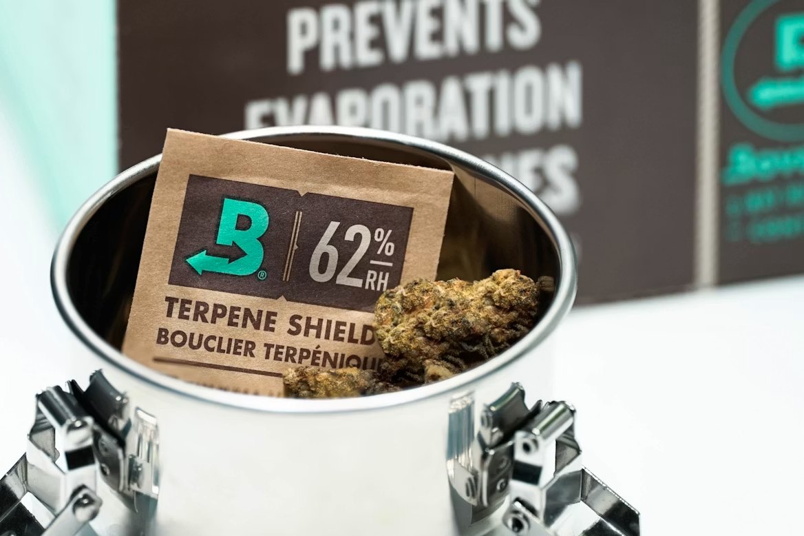 Hemp flower in a sealed steel jar with a humidity control pack, kept at 62% relative humidity to slow terpene loss